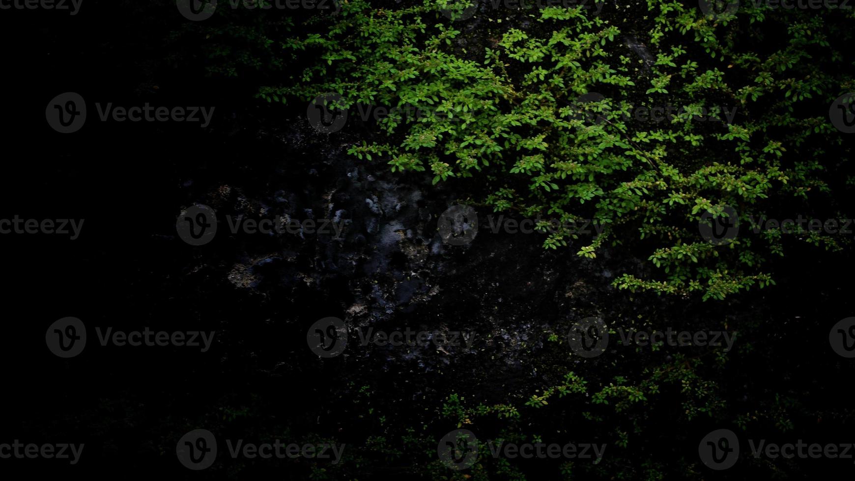 Dark scary background. Dark black concrete wall, scary halloween background cement texture photo