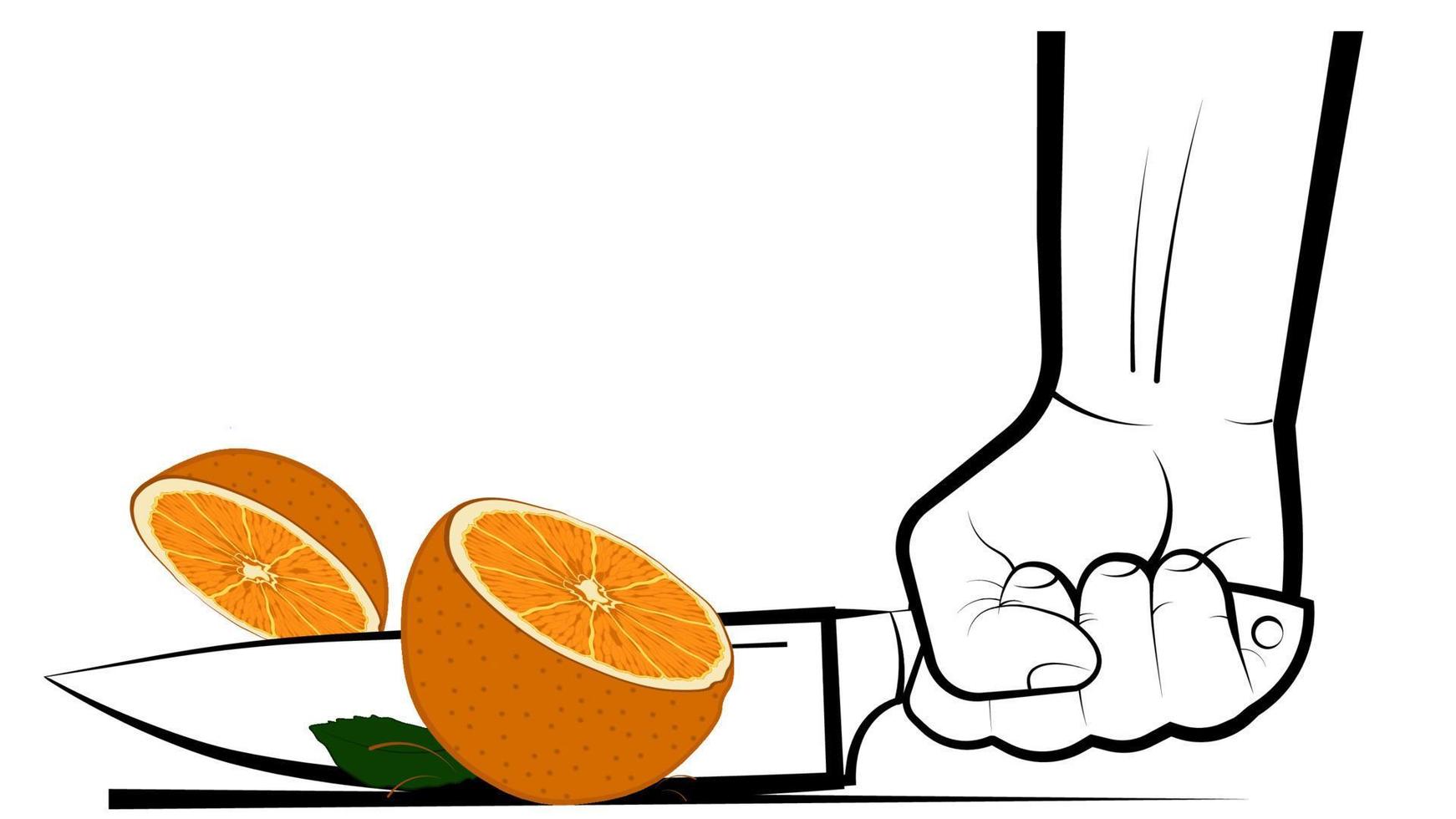 mans hand cuts a ripe juicy orange with a big knife. Preparation of vitamin cocktails. Vegetarian food. Banner, poster. Bright summer design element on white background vector