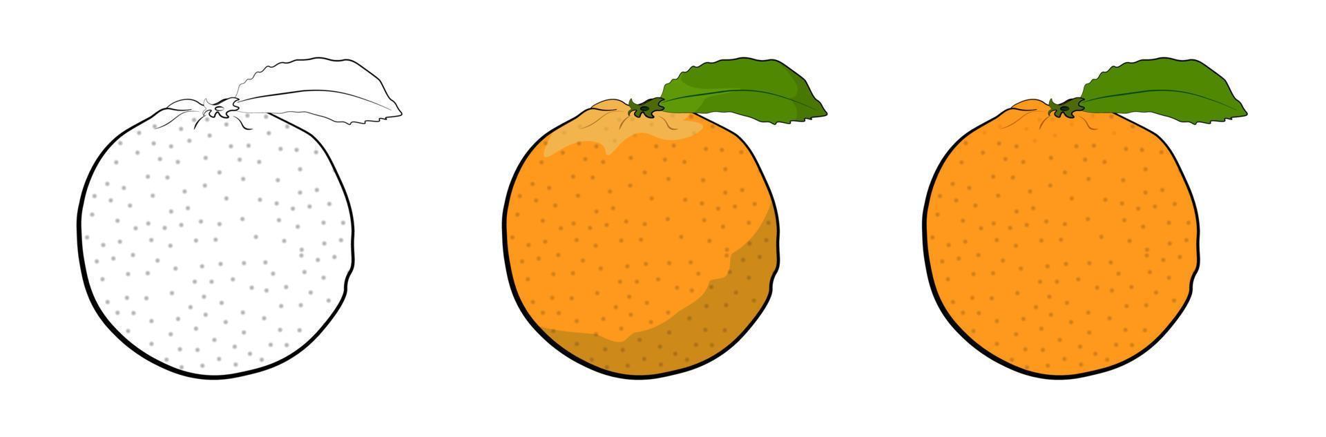 juicy ripe orange with a green leaf in flat and cartoon styles. Summer tropical fruits. Isolated vector on white background