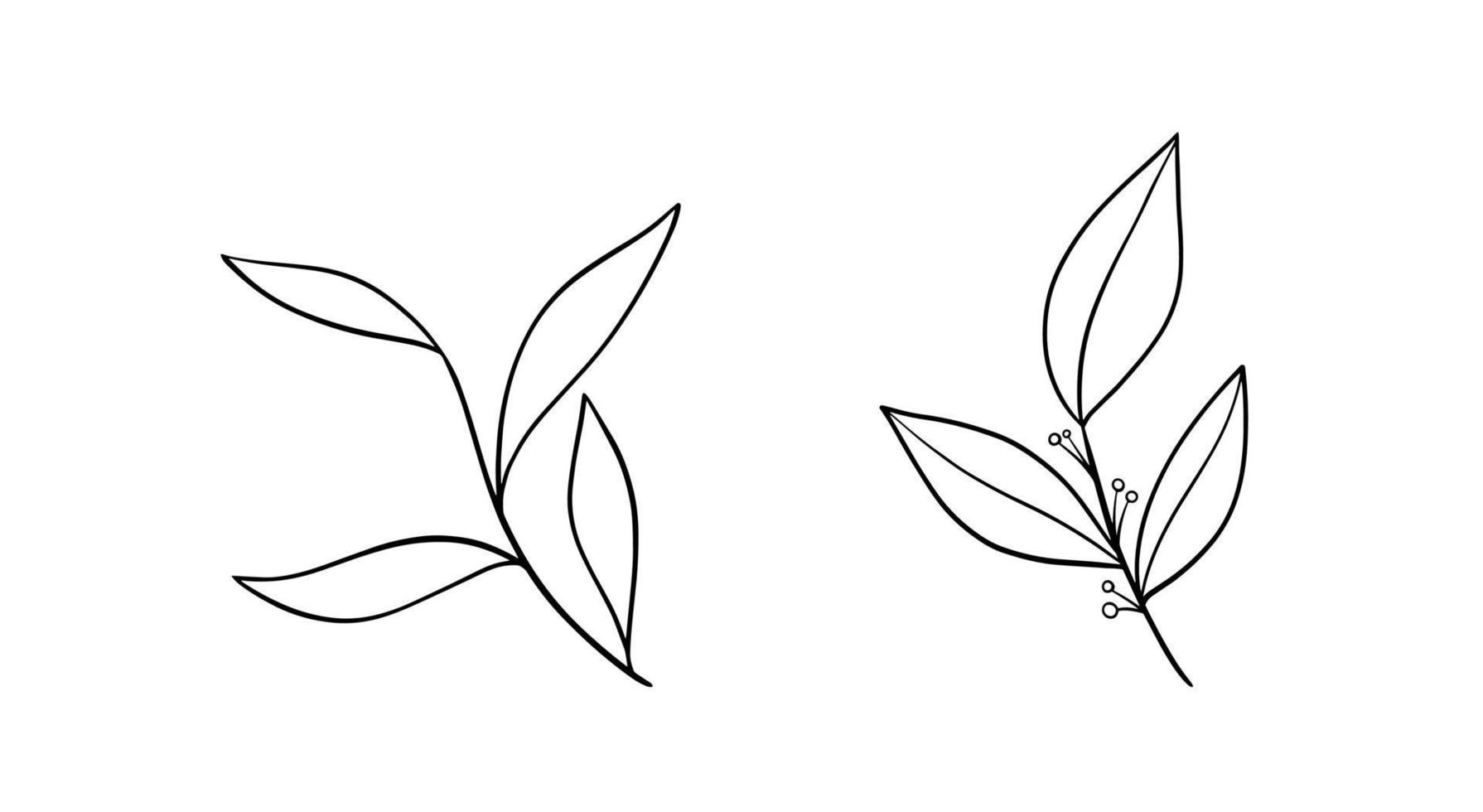 Set of floral hand drawn vector. Hand drawn plants in doodle style. Botanical illustration. vector