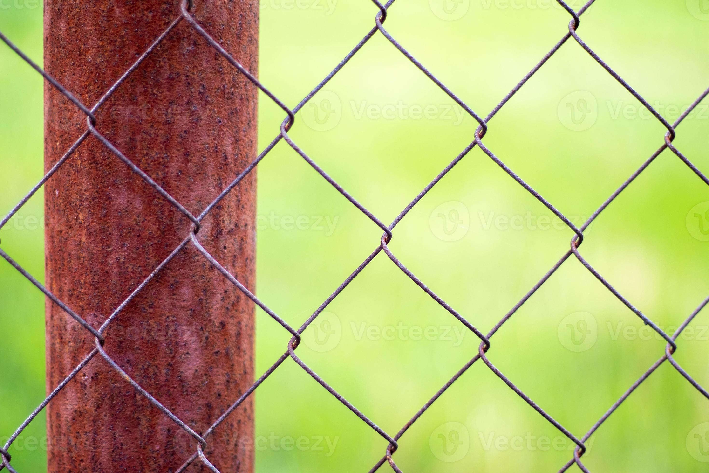 A mesh cage in a garden and a rusty pole with green grass as a
