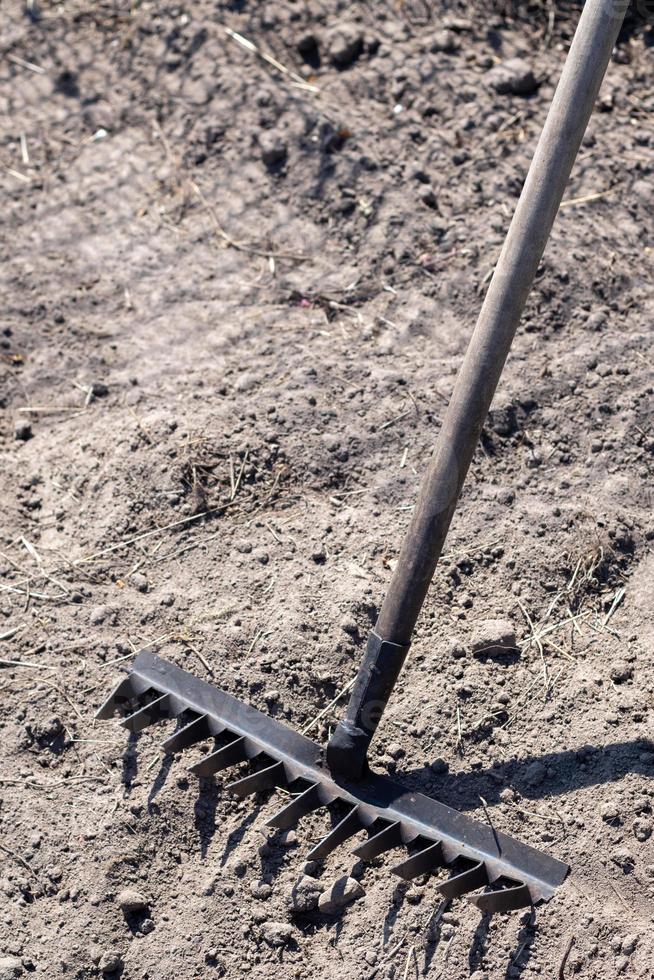 Close up photo of a garden rake on a bed. Old black metal rake on dry soil, in the garden. Spring cleaning. Selective focus. Yard area cleaning.