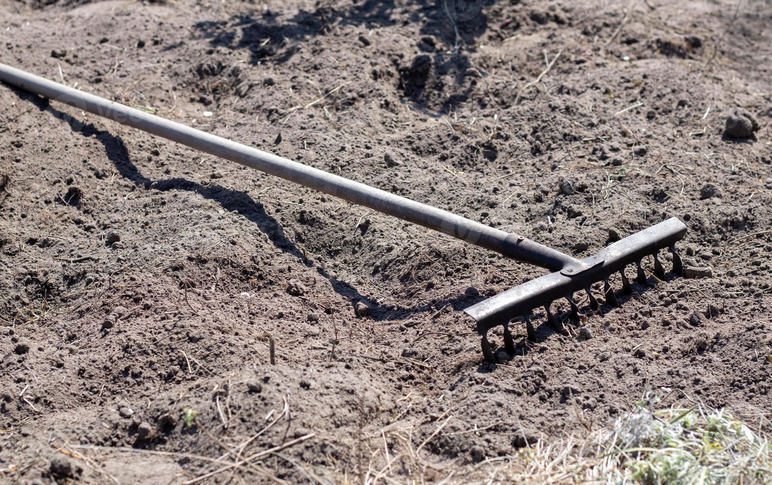 Close up photo of a garden rake on a bed. Old black metal rake on dry soil, in the garden. Spring cleaning. Selective focus. Yard area cleaning.