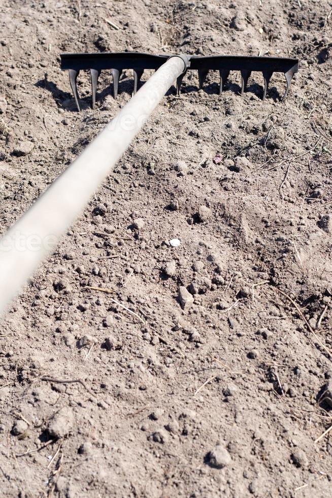 Photo of a garden rake on a bed. Old metal rake in the garden. Spring cleaning. Formation of the soil for planting with a rake in the spring, work with a garden tool. Soil preparation for sowing.