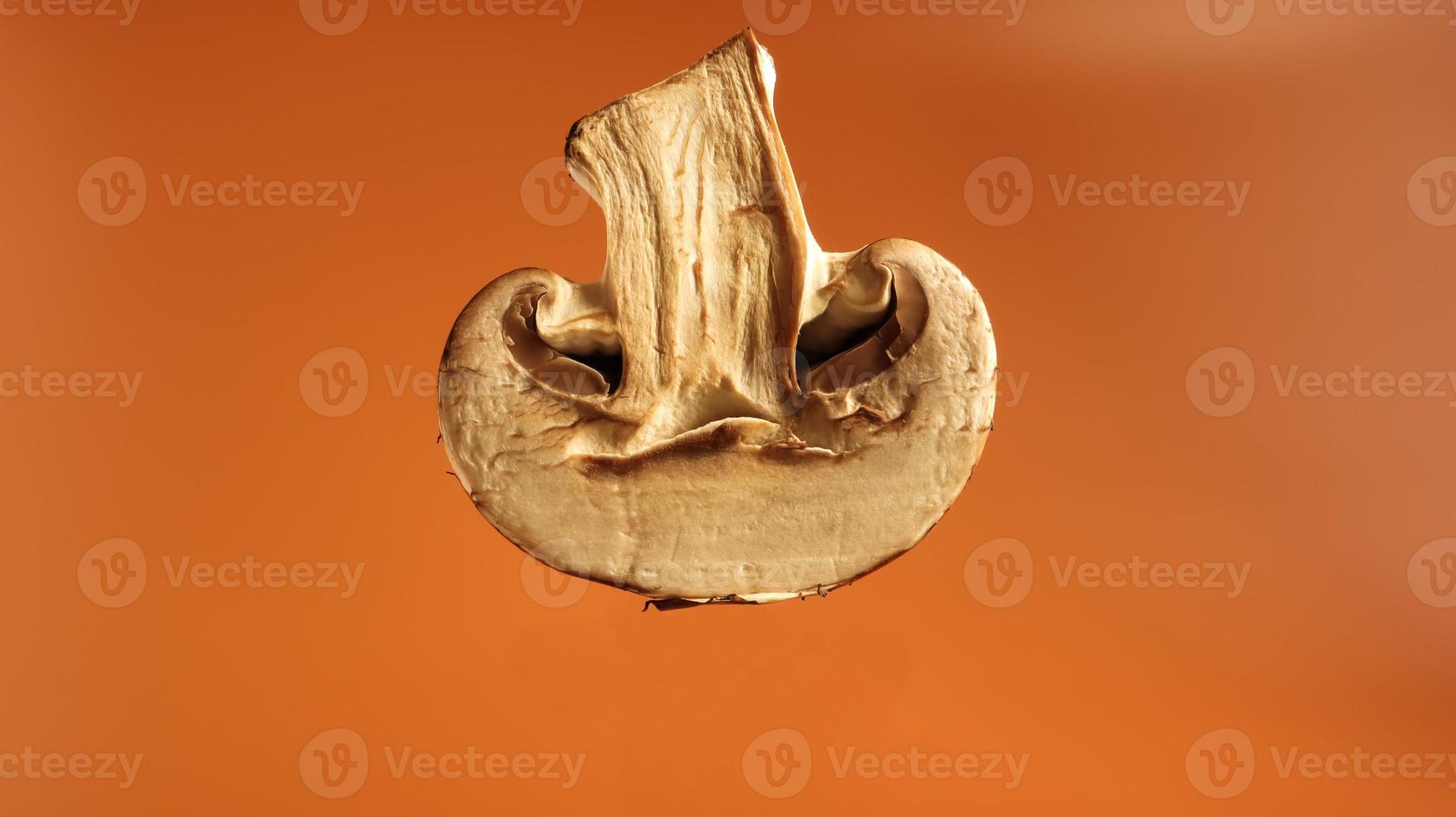 One fresh mushroom in a cut on a brown background. Half of the royal champignon close-up. Juicy mushroom, copy space. Raw material for cooking vegan food. photo