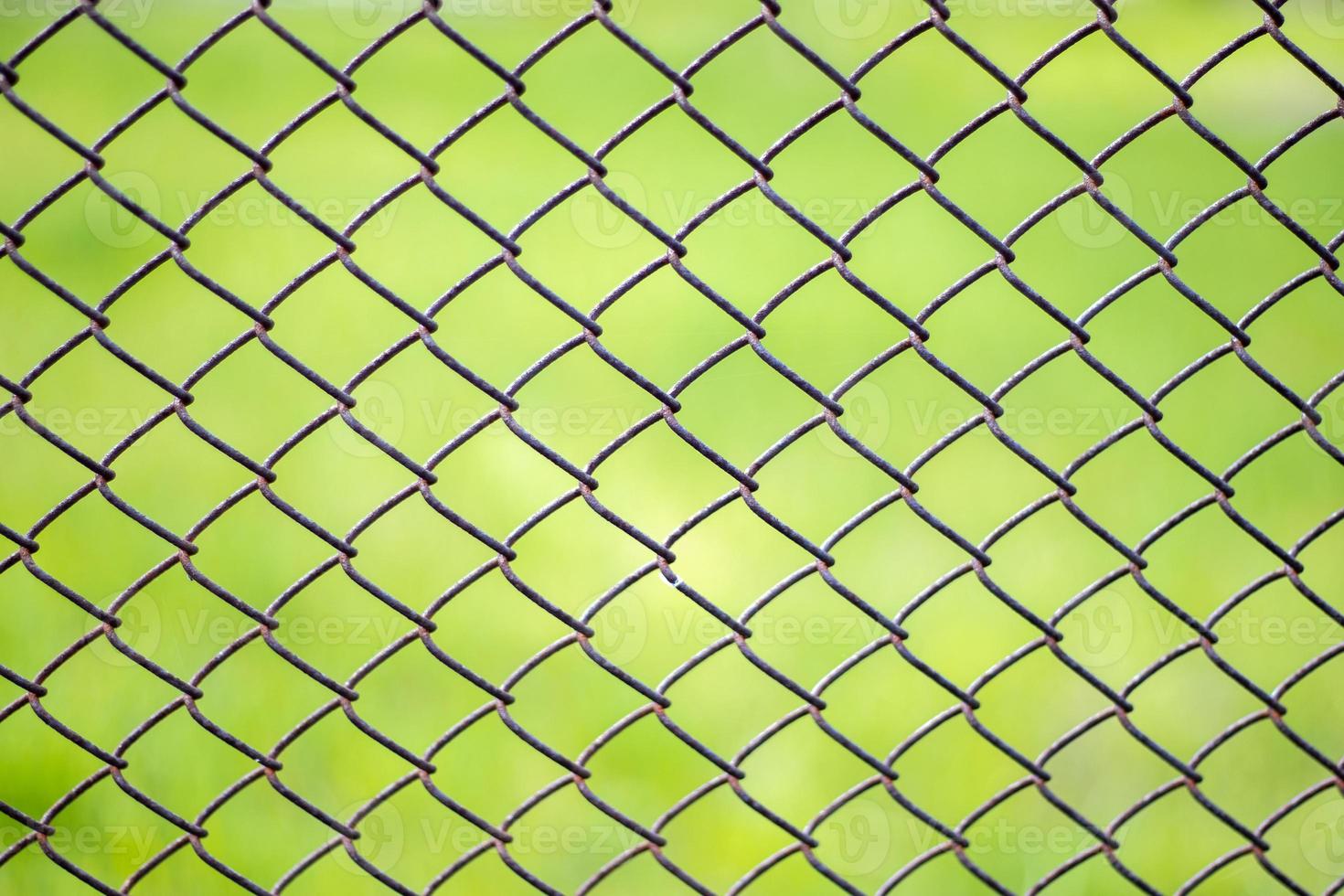 Mesh cage in the garden with green grass as background. Metal fence with wire mesh. Blurred view of the countryside through a steel iron mesh metal fence on green grass. Abstract background. photo