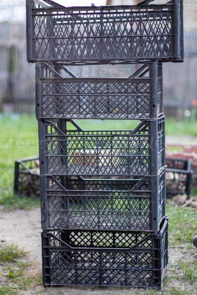 Plastic empty black boxes stacked together for plants or harvest. On a sunny day in early spring. Gardening concept. Household crop collection and storage boxes standing in the backyard. photo