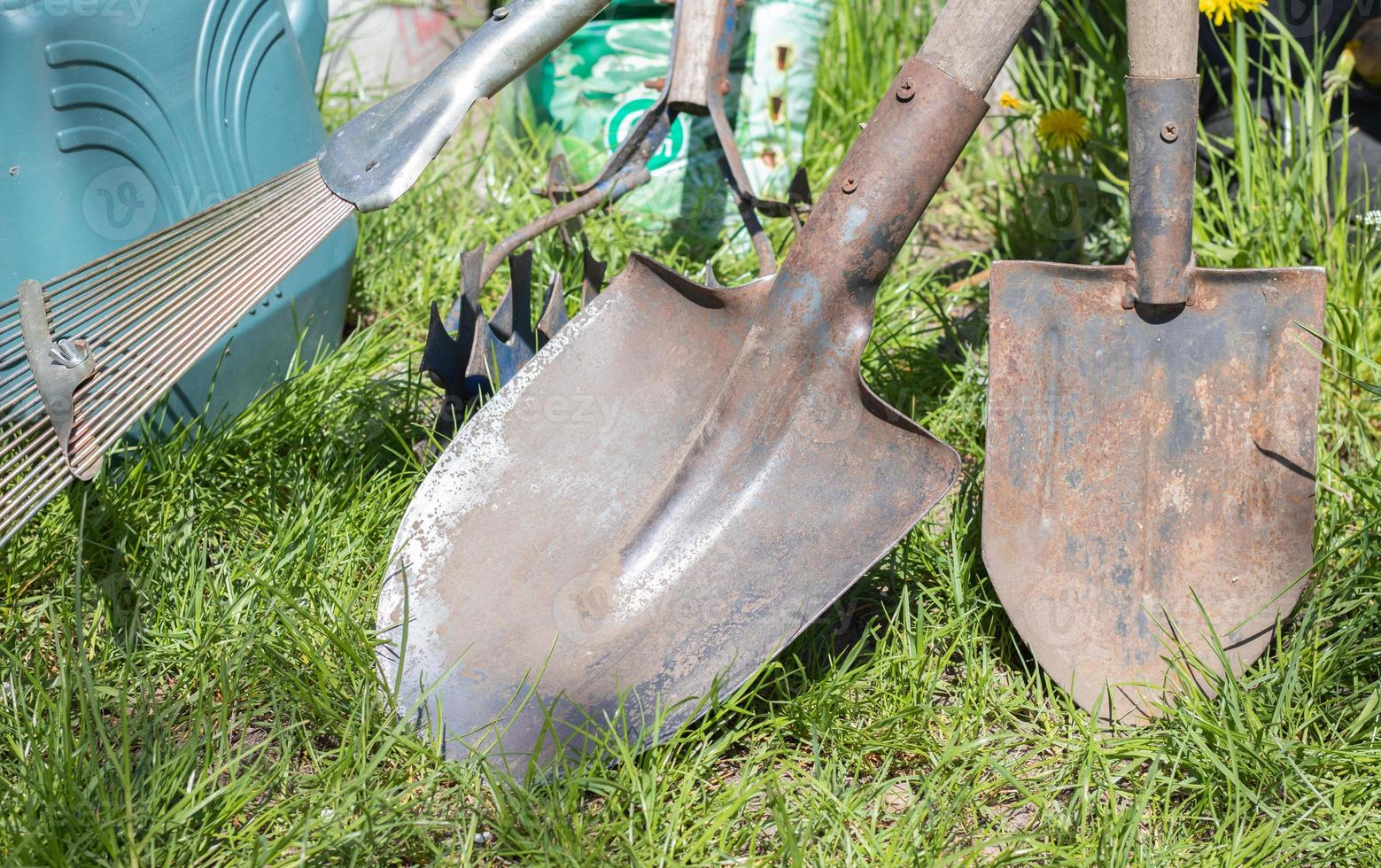 Gardening tools. Garden tools on the background of a garden in green grass. Summer work tool. Two shovels, a rake and a baking powder stacked in a garden outside. The concept of gardening tools. photo