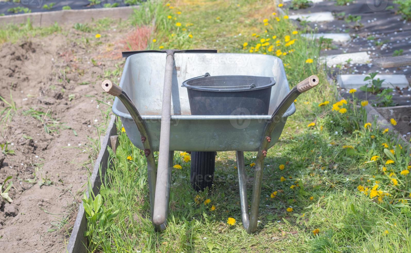 Gray metal garden wheelbarrow with two handles and one wheel. The wheelbarrow is in the garden or garden. Gardener's wheelbarrow in the backyard. Garden cleaning. photo