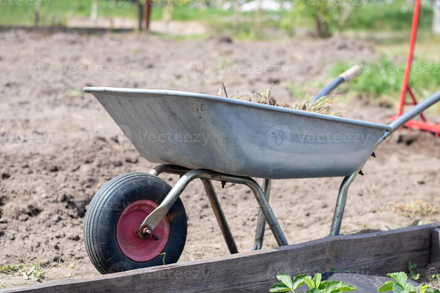 Garden wheelbarrow filled with earth or compost at the farm. Seasonal garden cleaning before autumn. On the street. Garden metal unicycle wheelbarrow full of weeds and branches. photo