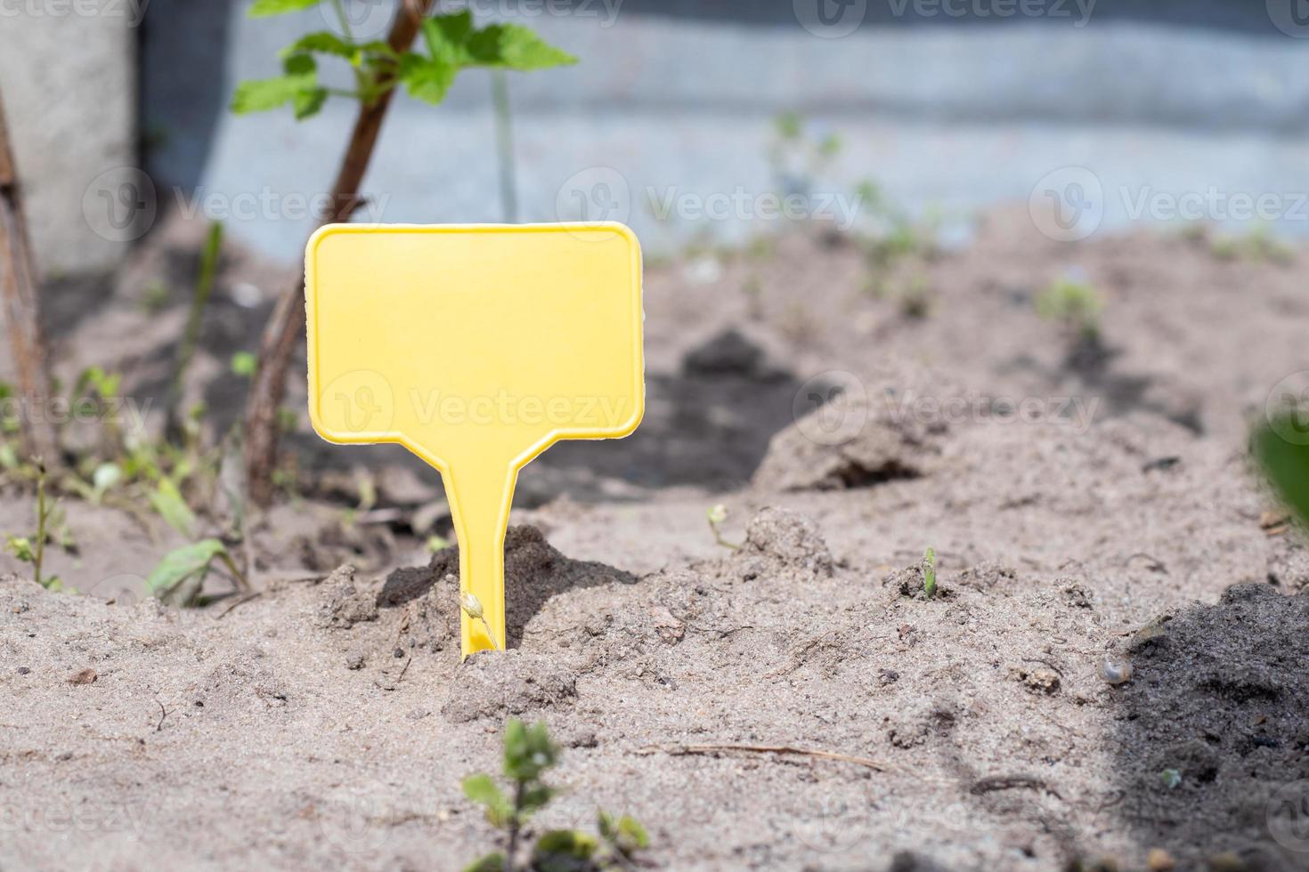 A yellow plastic garden marker indicating a plant in the garden. Label garden for marking. A reusable plate is designed to display information about planted crops. photo