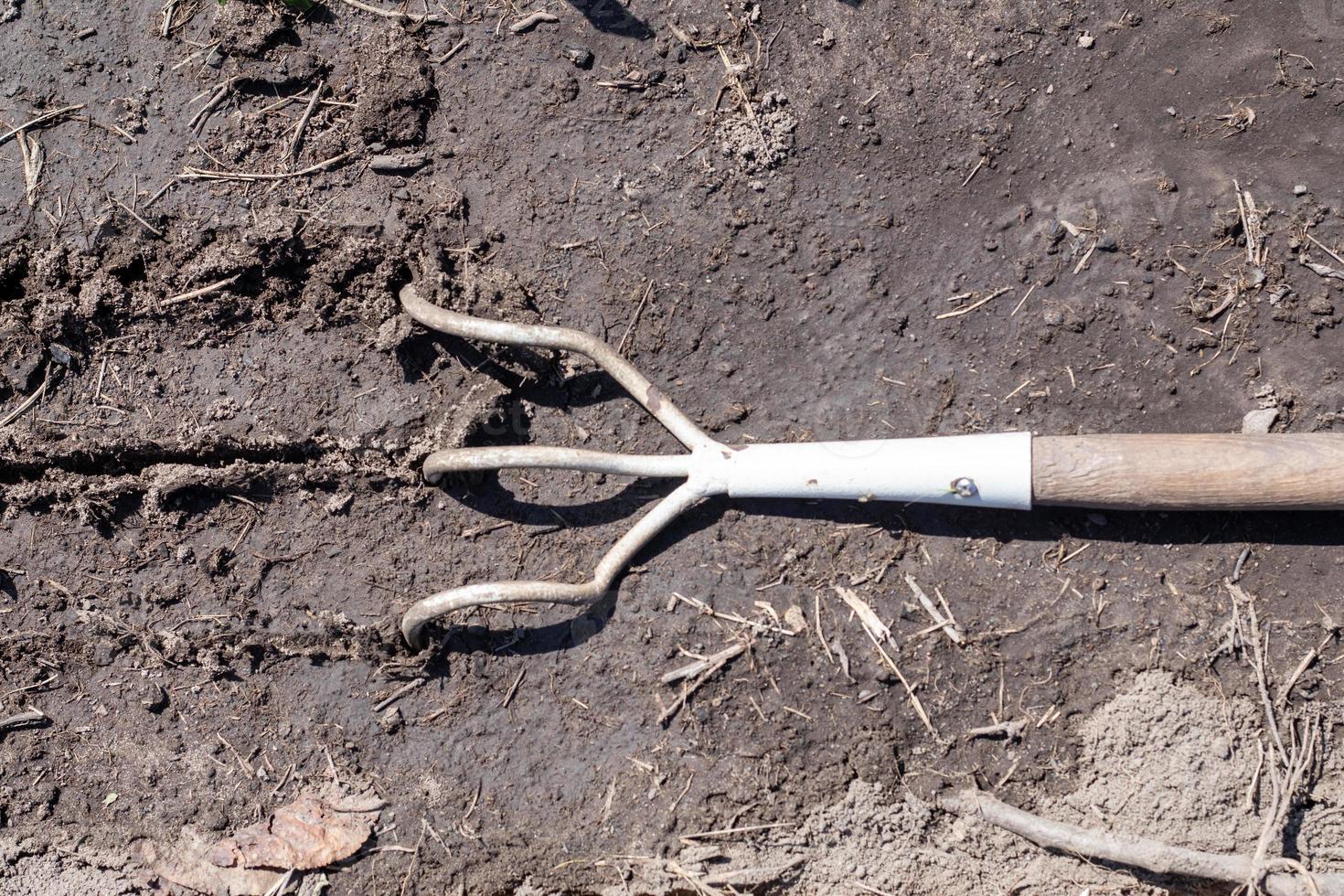 A Small Dusty Rake In Home Gardens