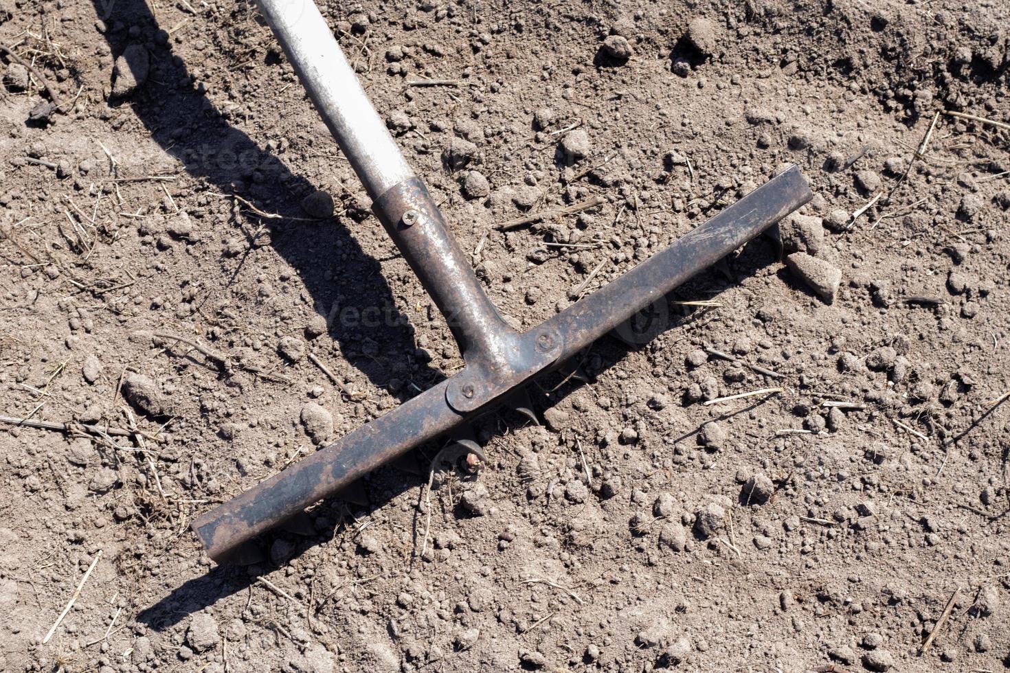 Photo of a garden rake on a bed. Old metal rake in the garden. Spring cleaning. Formation of the soil for planting with a rake in the spring, work with a garden tool. Soil preparation for sowing.