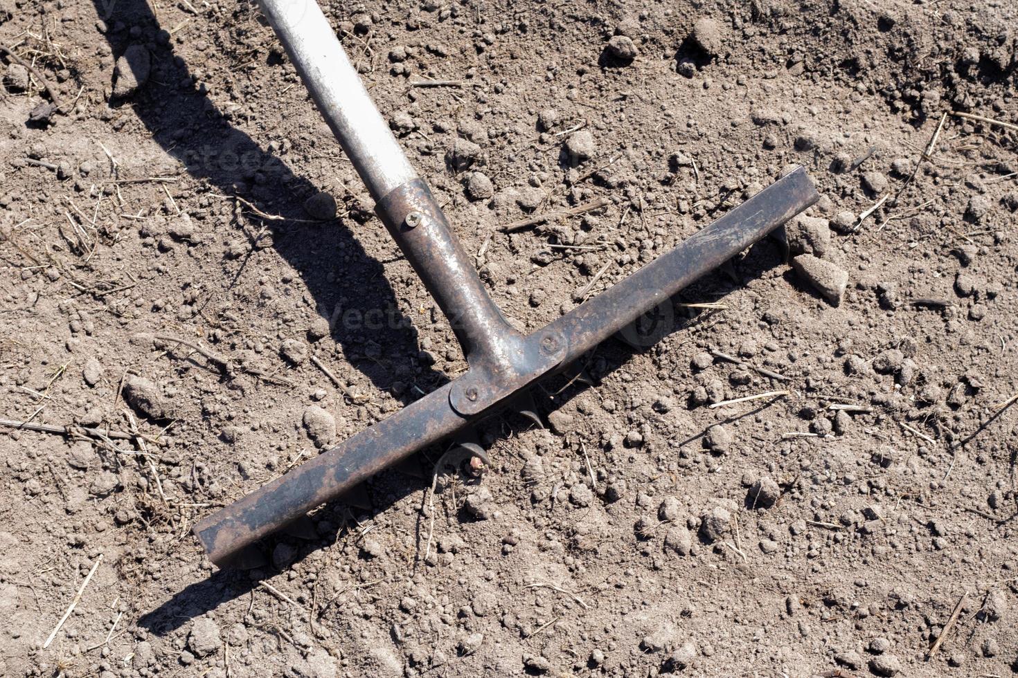 foto de un rastrillo de jardín en una cama. rastrillo de metal antiguo en el jardín. limpieza de primavera. formación del suelo para plantar con un rastrillo en primavera, trabajar con una herramienta de jardín. preparación del suelo para la siembra.