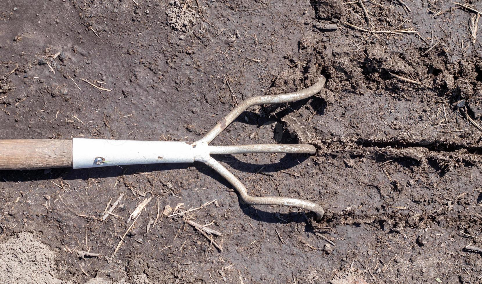 Planting flowers in the garden. A metal small rake with a wooden handle for gardening lies on the ground in a vegetable garden or orchard with stuck clods of soil. photo