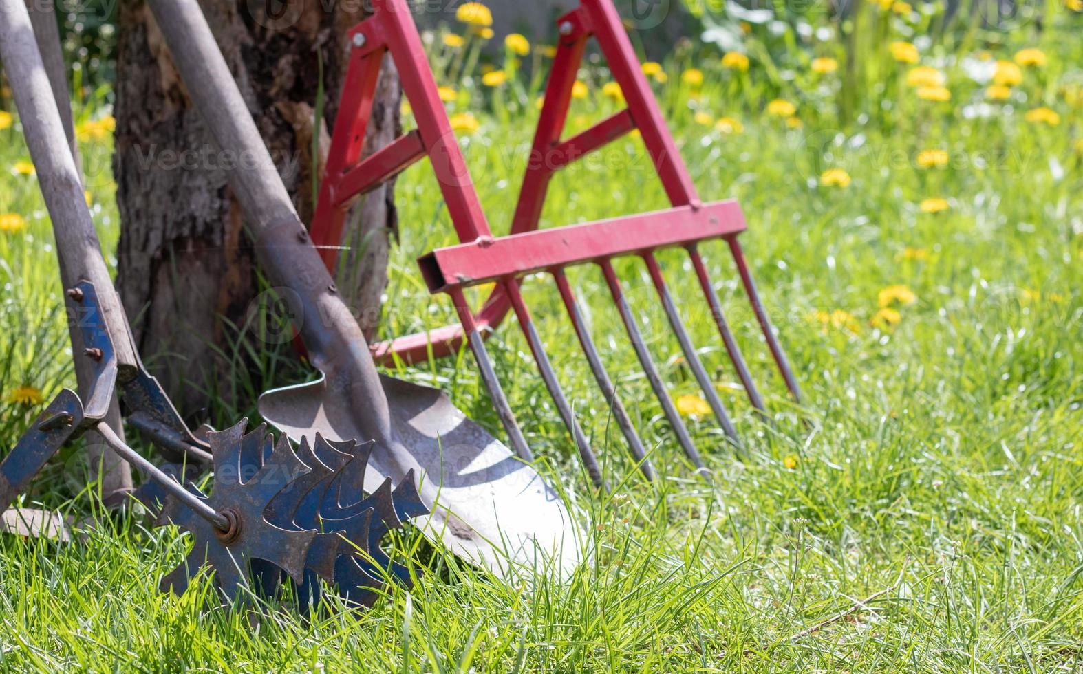 Gardening tools. Garden tools on the background of a garden in green grass. Summer work tool. Shovel, fork and baking powder stacked in the garden outside. The concept of gardening tools. photo