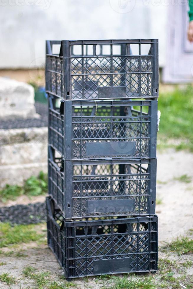 Plastic empty black boxes stacked together for plants or harvest. On a sunny day in early spring. Gardening concept. Household crop collection and storage boxes standing in the backyard. photo