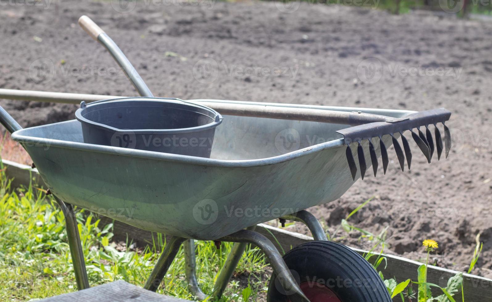 Gray metal garden wheelbarrow with two handles and one wheel. The wheelbarrow is in the garden or garden. Gardener's wheelbarrow in the backyard. Garden cleaning. photo