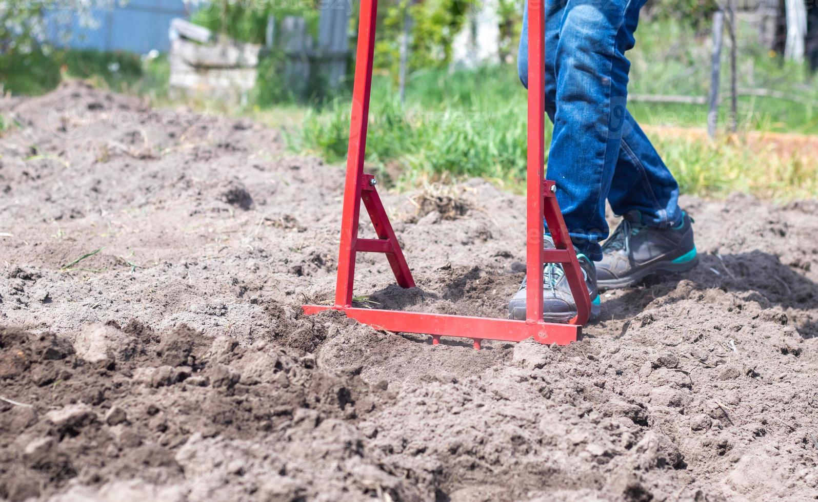 A farmer in jeans digs the ground with a red fork-shaped shovel. A miracle shovel, a handy tool. Manual cultivator. The cultivator is an efficient hand tool for tillage. Loosening the bed. photo