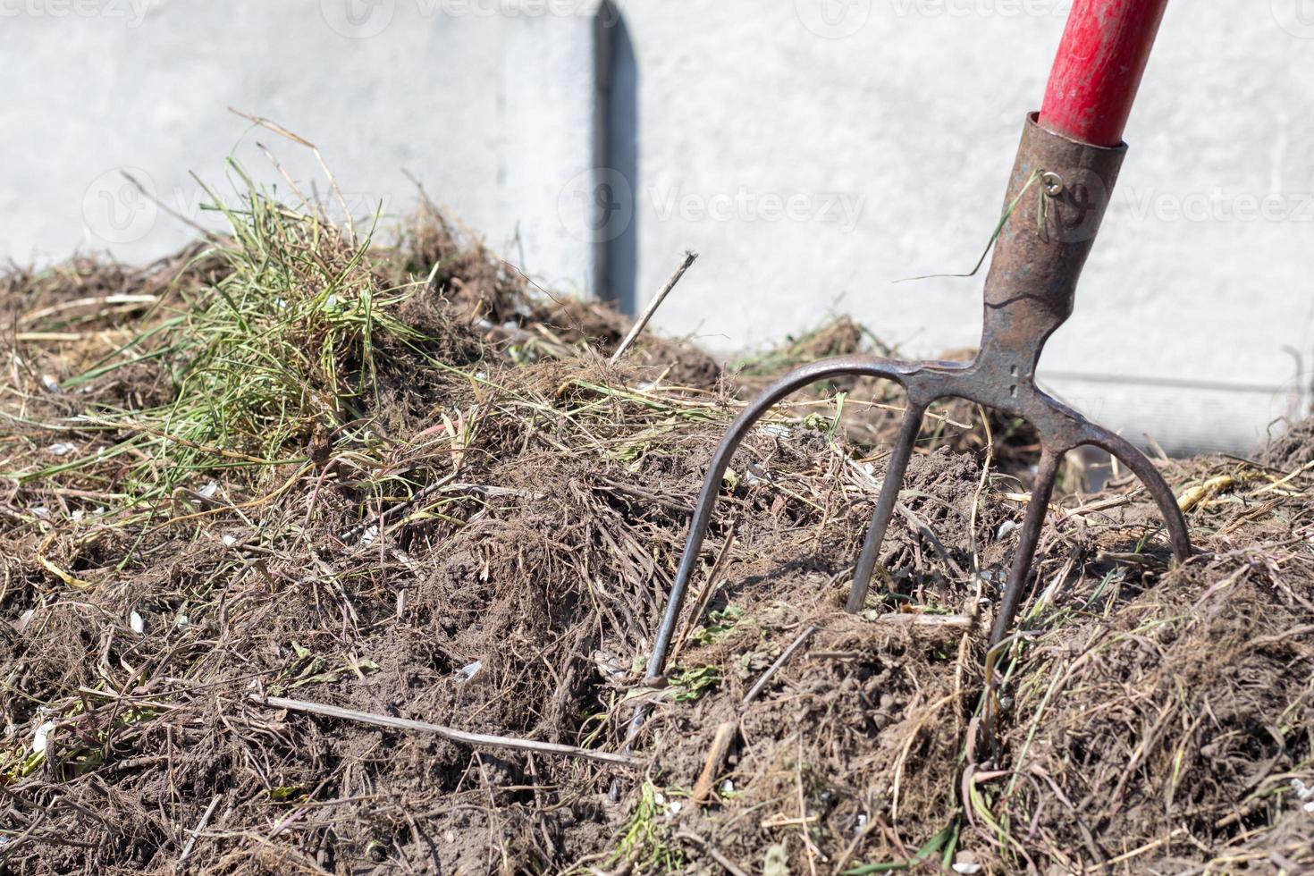 Fork with red handle for composting, recycling lawn and garden waste. Forks stuck in compost. Making and mixing compost in the backyard. Organic fertilizer for garden plants. photo