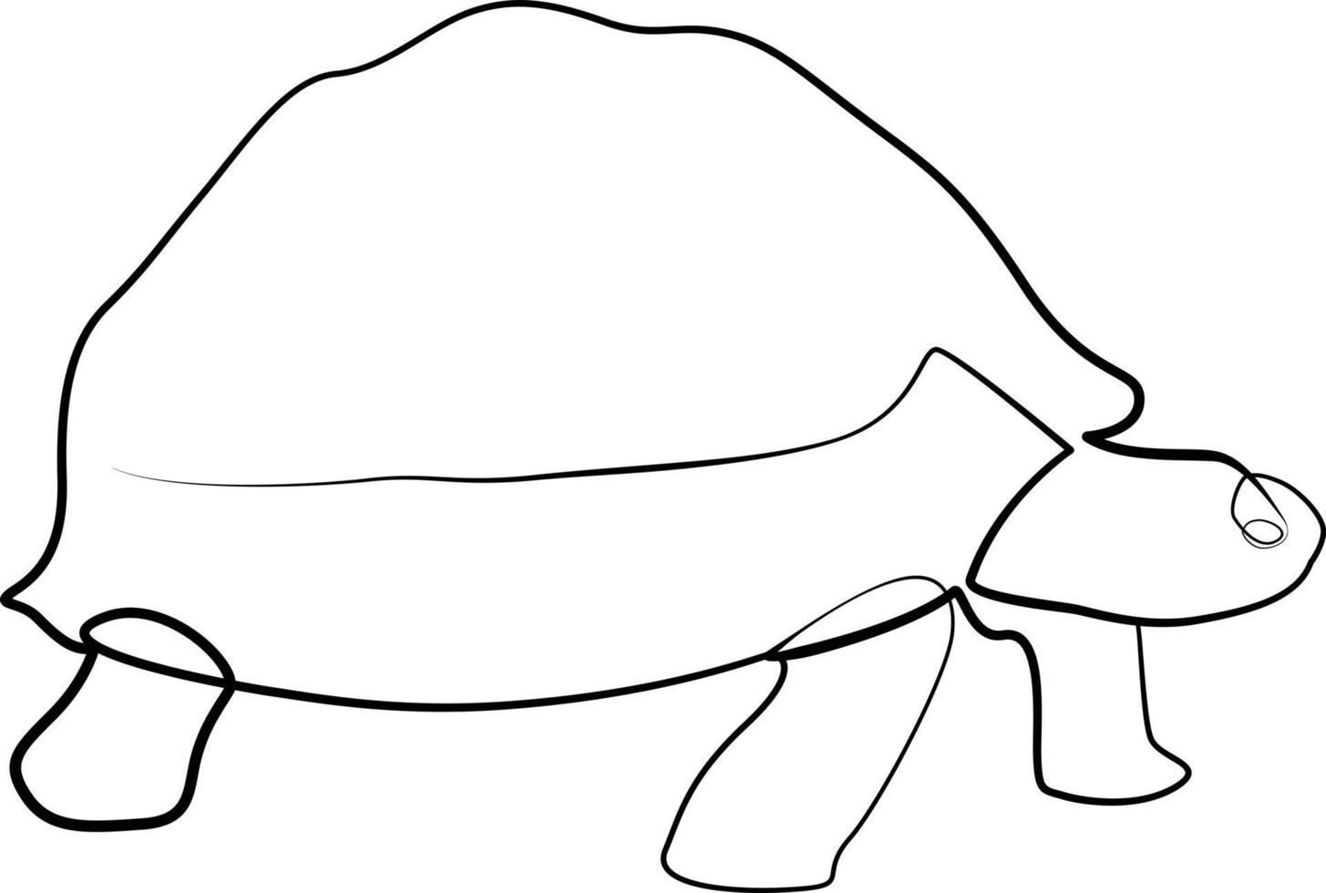 single line exotic pet turtle vector