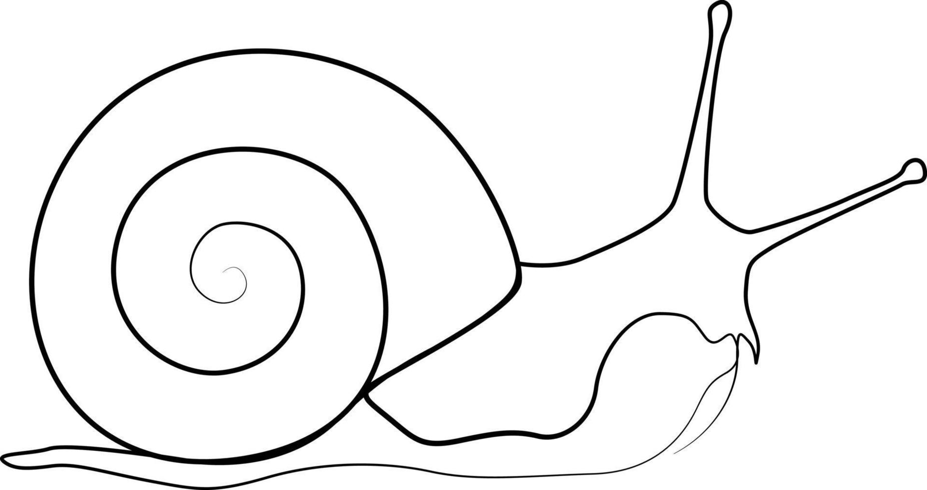 single line exotic pet snail vector