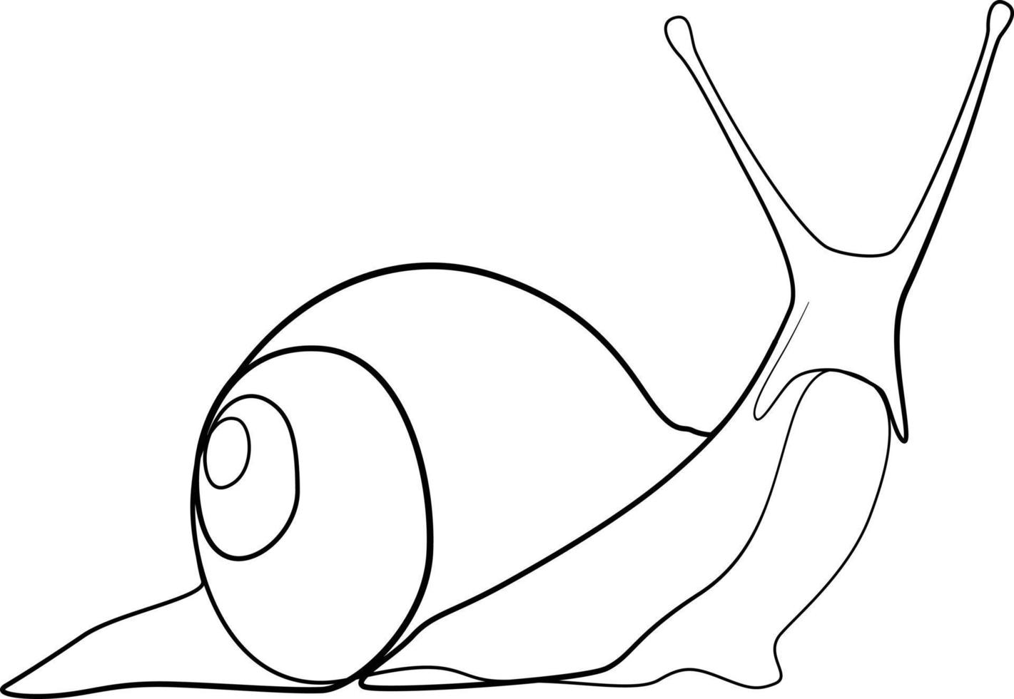 single line exotic pet snail vector