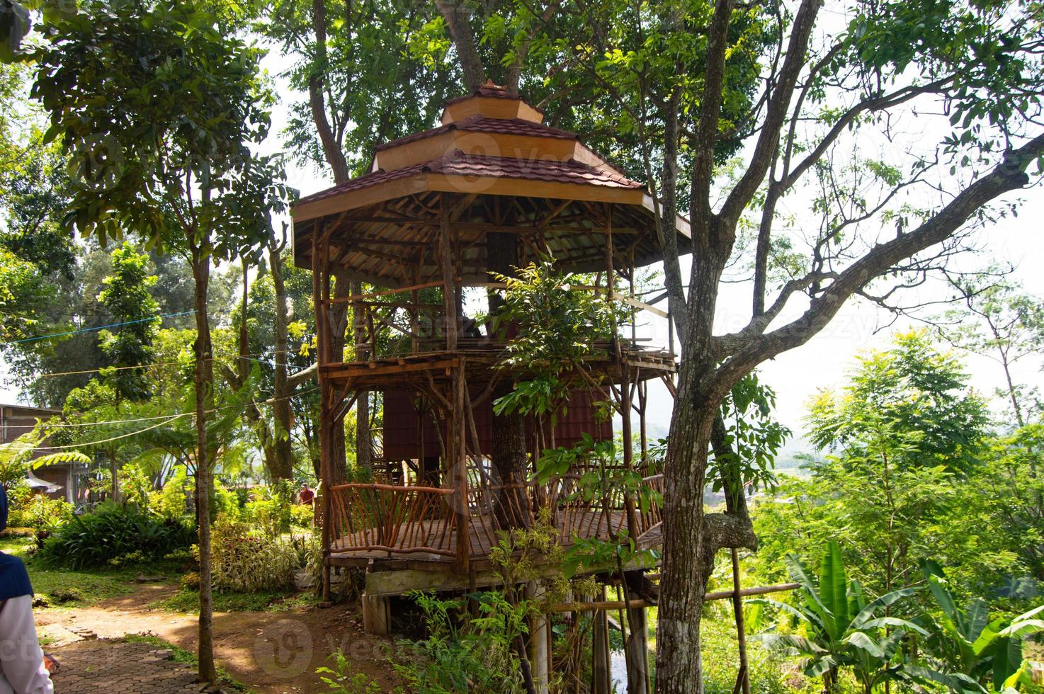 selective focus of garden view with a nice gazebo. beautiful garden view. photo