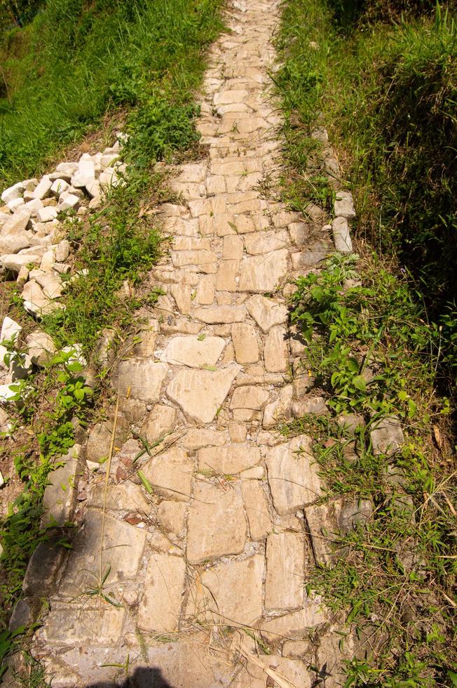 the road in the mountain garden photo