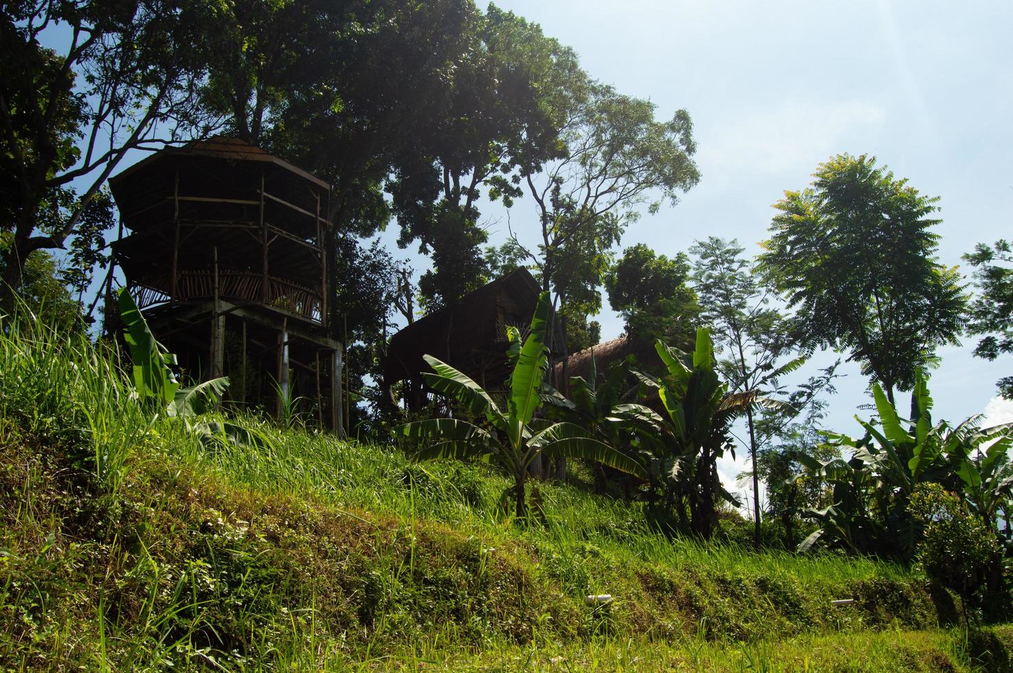 selective focus of garden view with a nice gazebo. beautiful garden view. photo