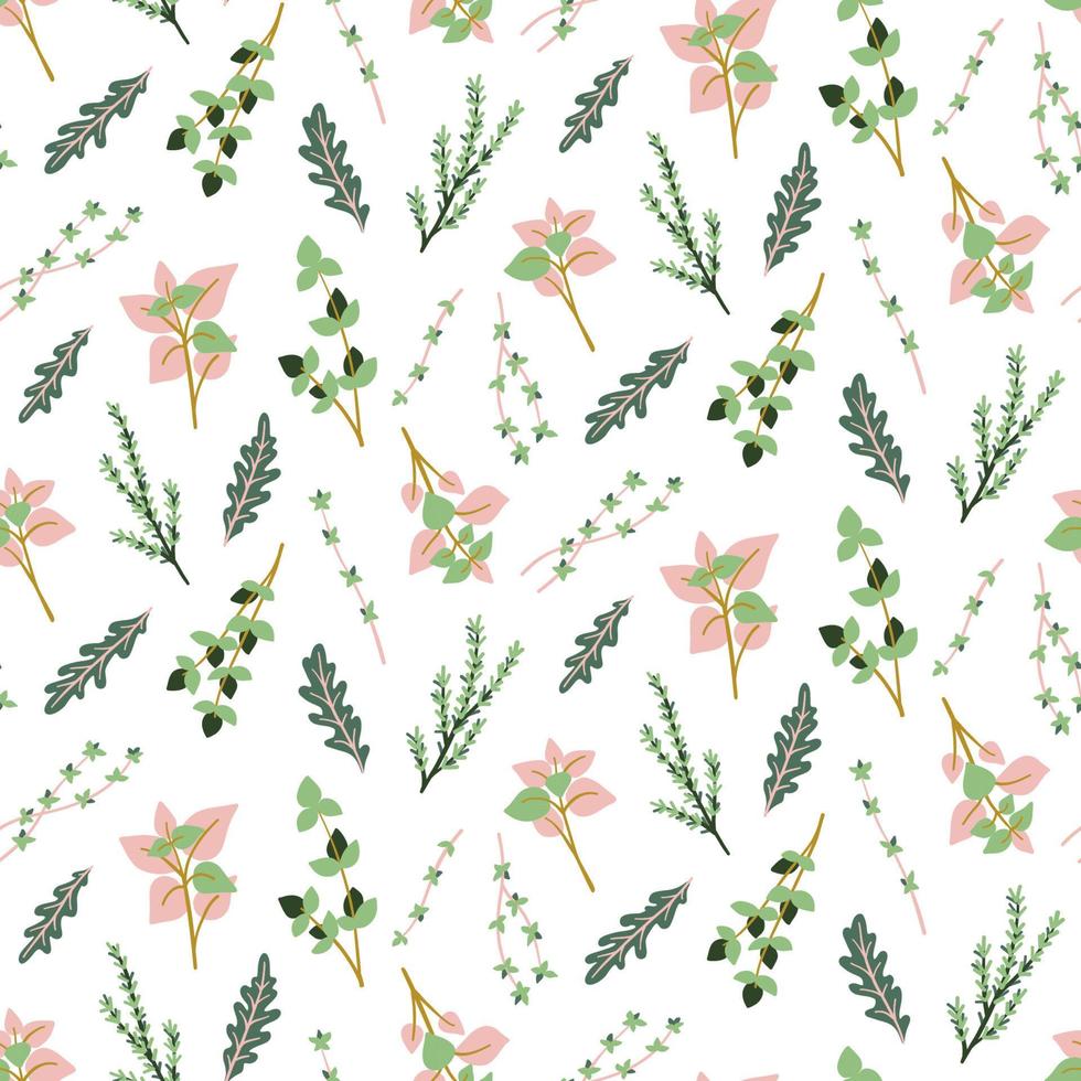 Seamless pattern with herbs. vector