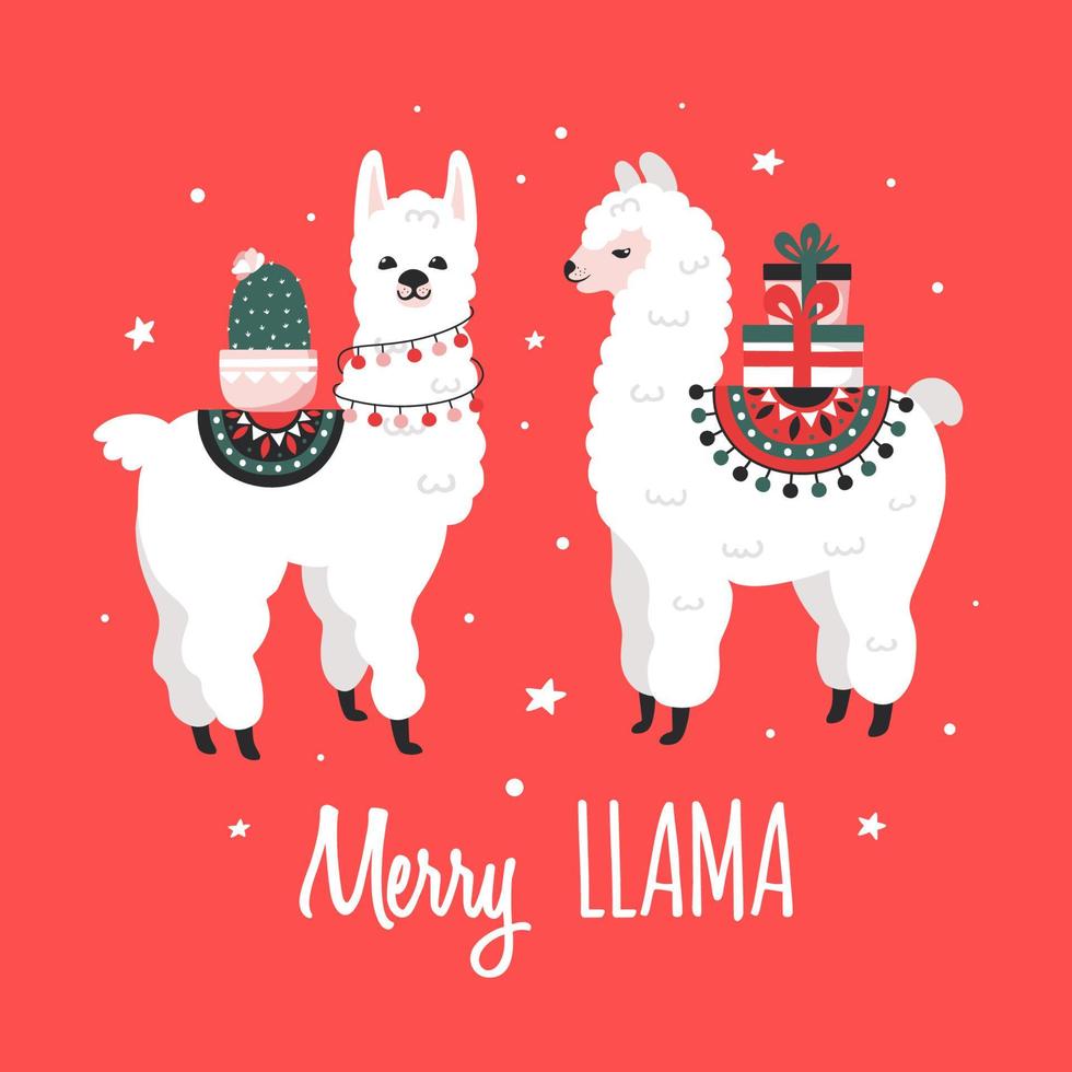 Merry Christmas greeting card with cute Lamas. vector
