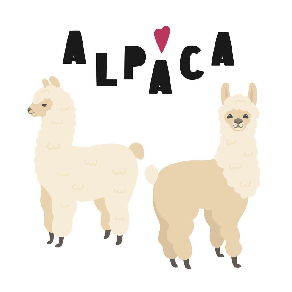 Two cute alpacas illustration with lettering, isolated on white background. vector