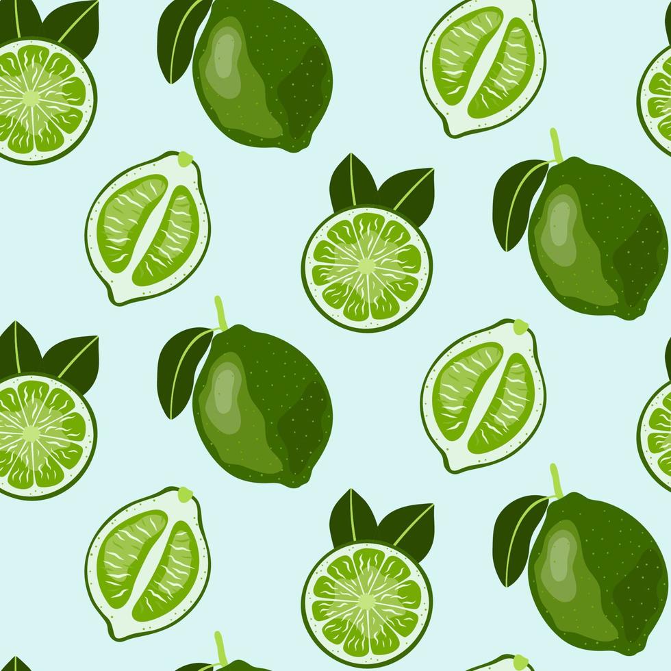 Hand drawn seamless pattern with Lime Fruit. Colorful vector wallpaper.