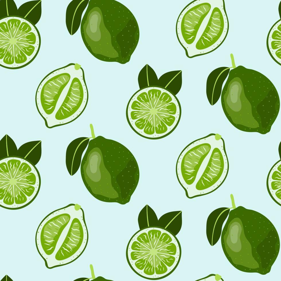 Hand drawn seamless pattern with Lime Fruit. Colorful vector wallpaper.