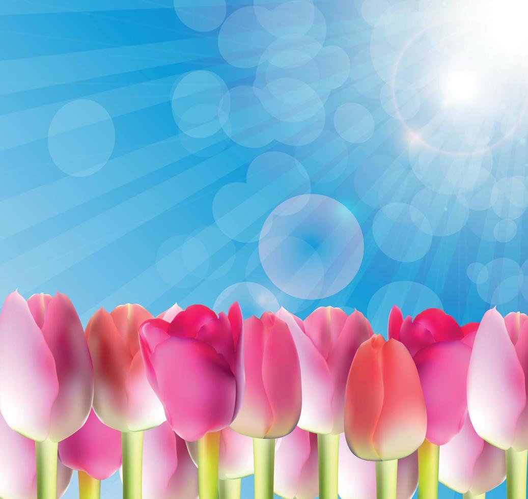 hermosos tulipanes rosas contra el cielo brillante ilustración vectorial vector