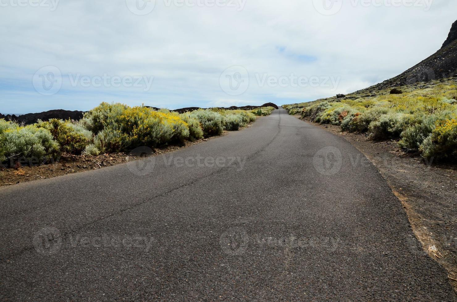 Road through the countryside photo