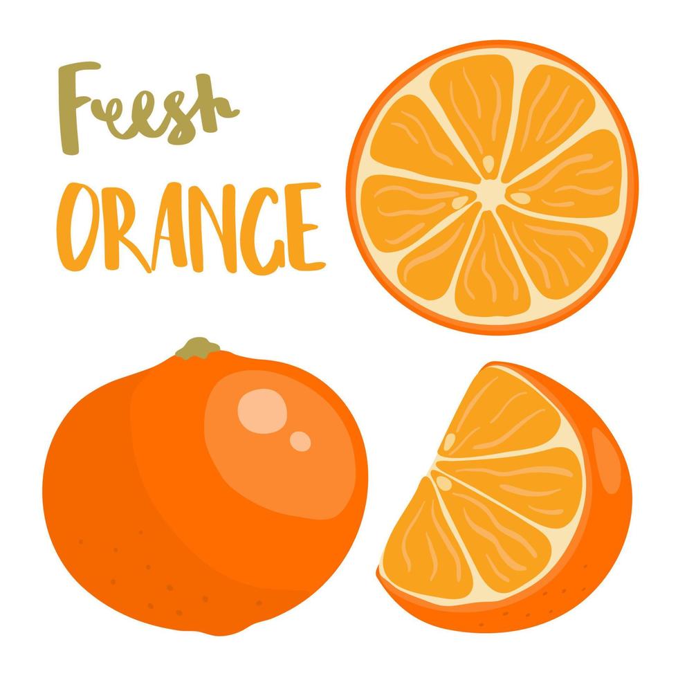 Hand drawn vector illustration of whole and sliced orange fruit