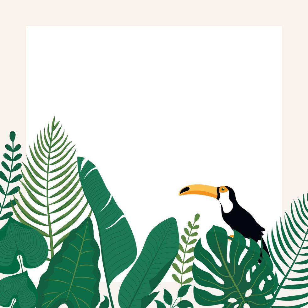 Trendy banner with tropical leaves,Toucan bird and space for text. vector