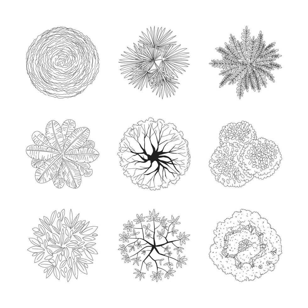 Outlined Tree Plan Top View Set vector