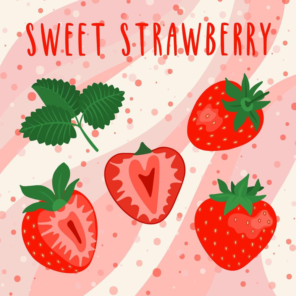 Set of sliced and whole bright strawberries illustrations. vector