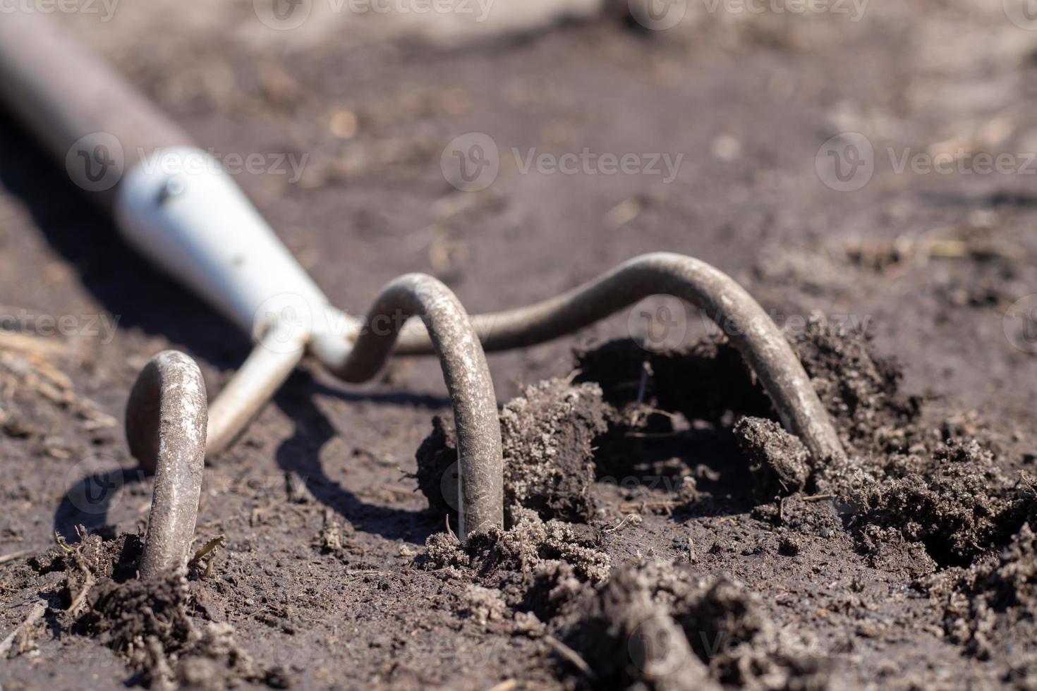 A small dusty rake used in home gardens. Garden tools for gardening and care of plants at home and in the garden. Spring or summer garden work. Dig up a piece of land among the weeds. photo