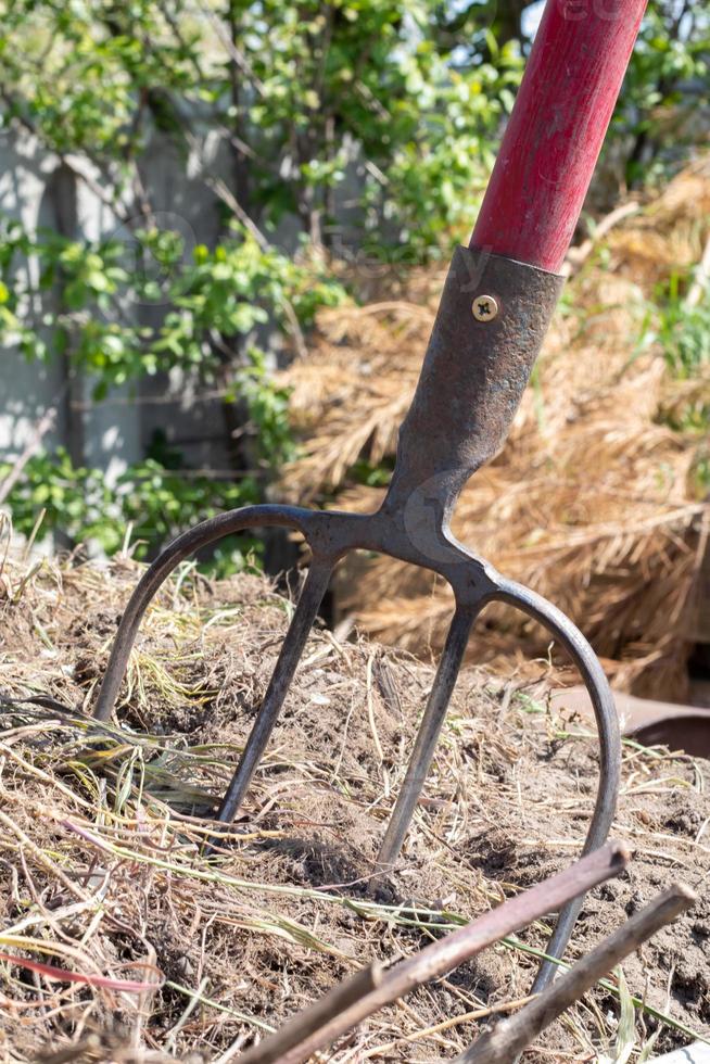 Fork with red handle for composting, recycling lawn and garden waste. Forks stuck in compost. Making and mixing compost in the backyard. Organic fertilizer for garden plants. photo