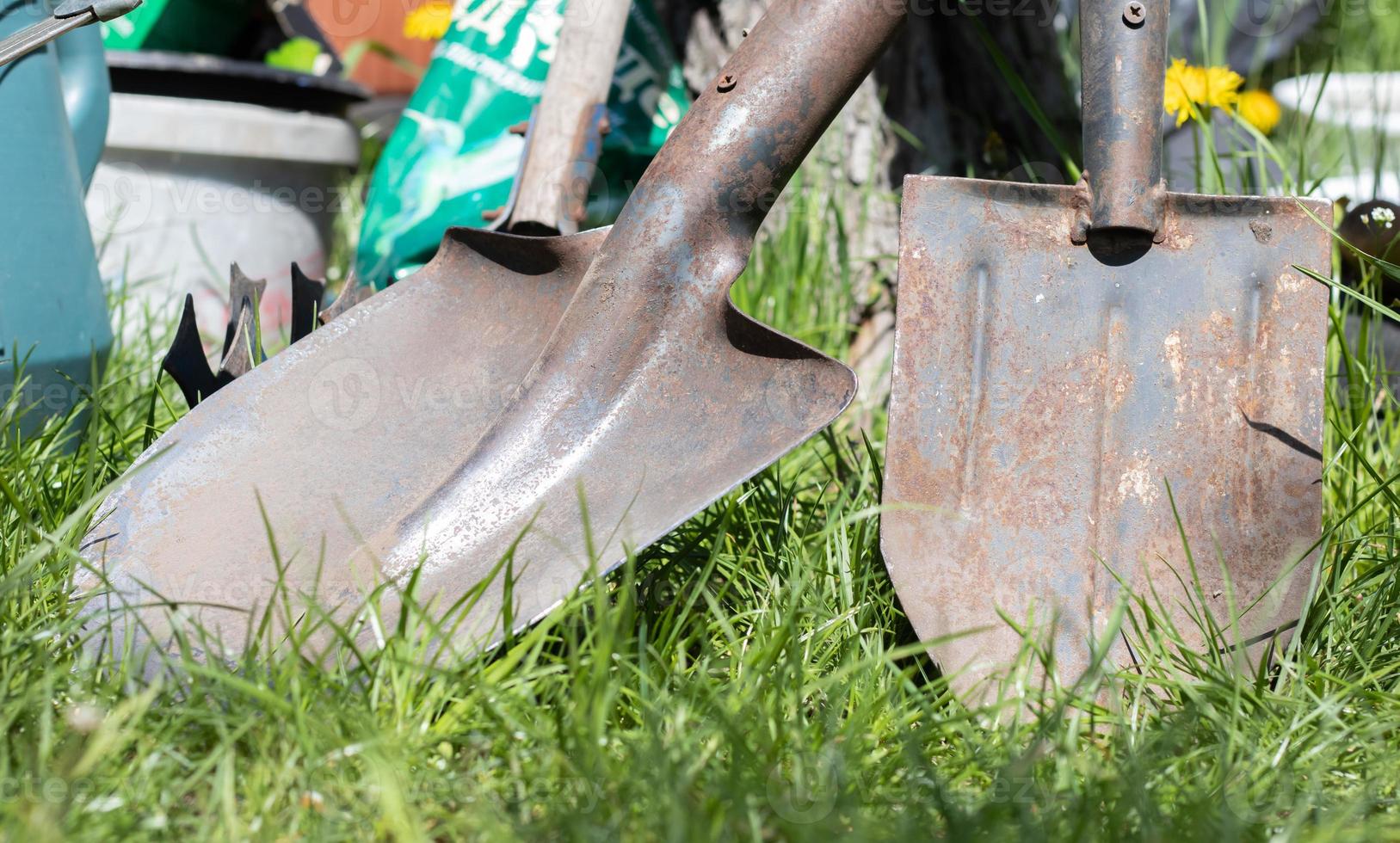 Gardening tools. Garden tools on the background of a garden in green grass. Summer work tool. Two shovels stacked in the garden outside. The concept of gardening tools. photo
