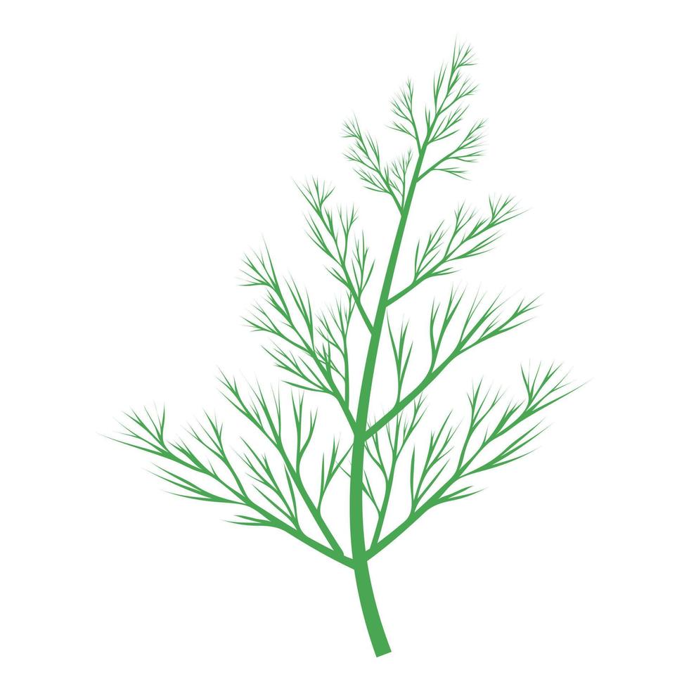 Green dill branch. vector