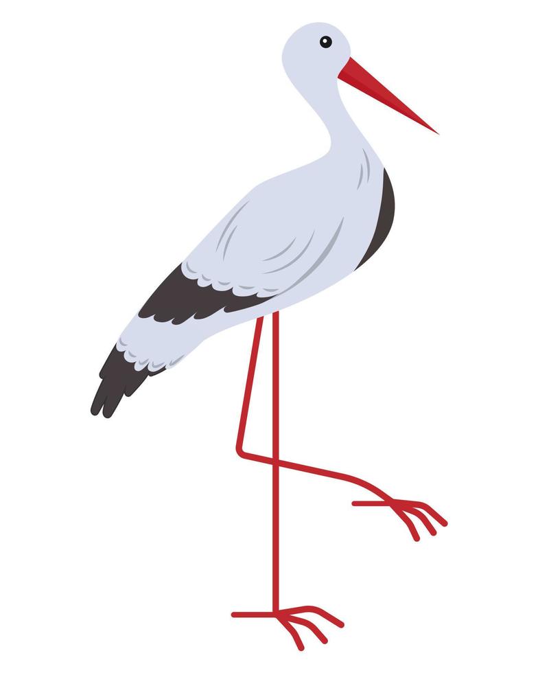 Stork bird. Vector illustration.