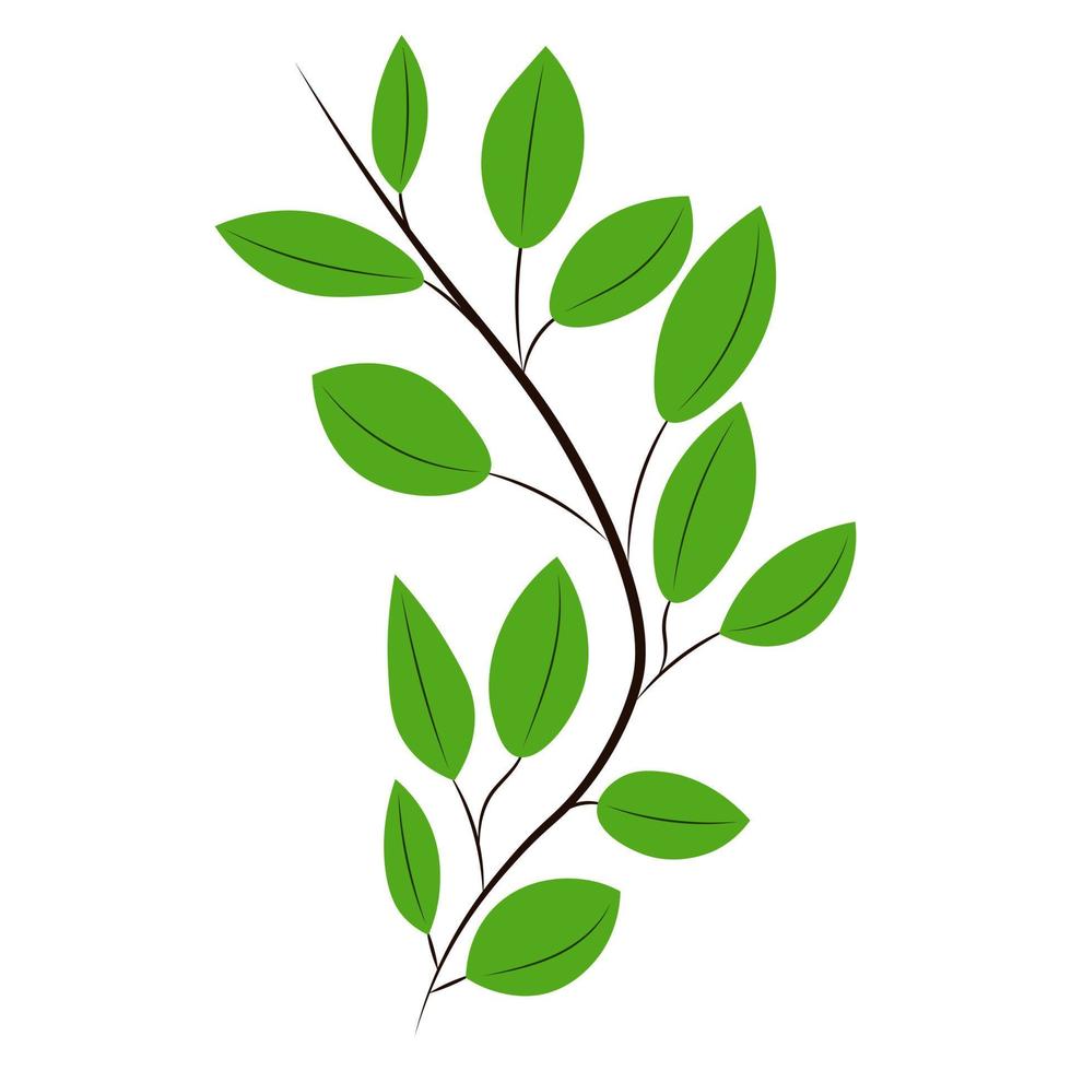 Green leaves on a branch. Vector illustration.