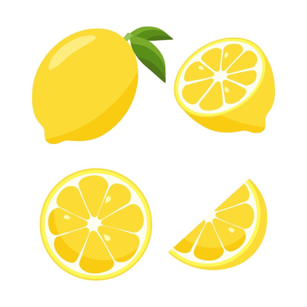 Lemon icon. Lemon and lemon slices. Isolated on white background. Vector illustration.