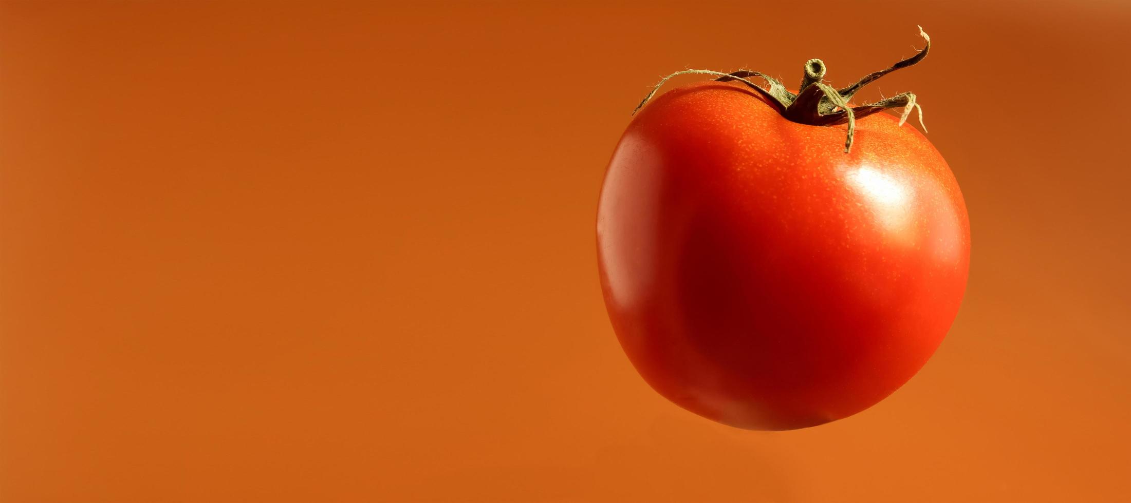One fresh tasty red tomato. Juicy multi-celled berry. An annual or perennial herb. Vegetable culture. Juicy tomato with green stem. Banner with copy space. photo