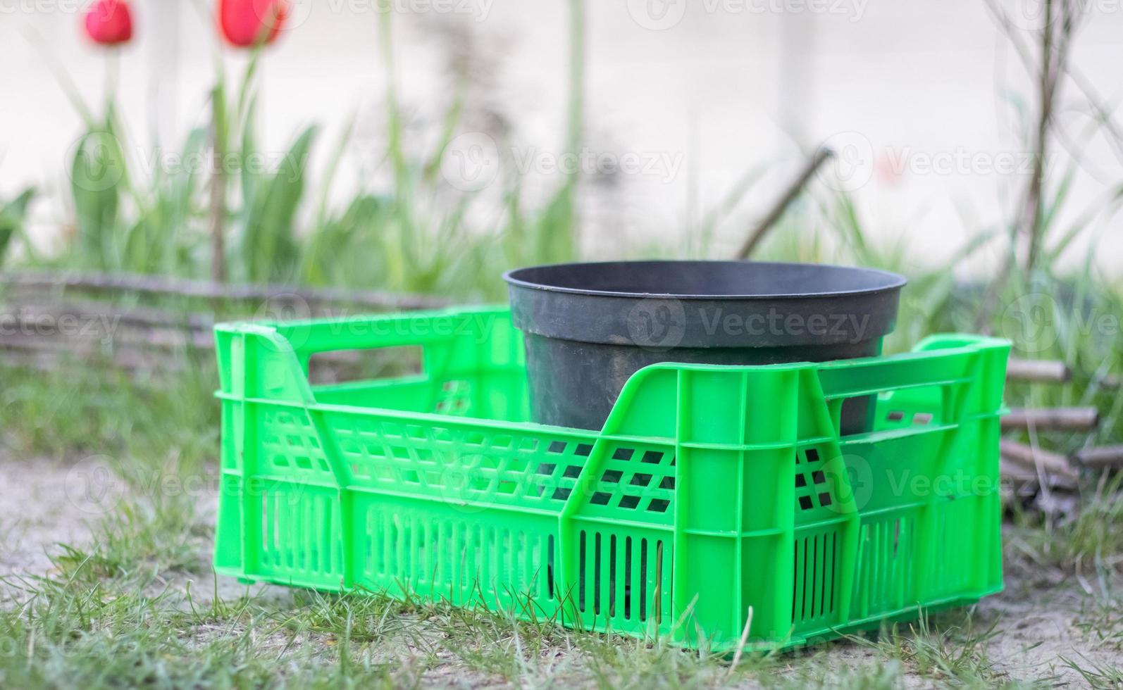 Plastic empty green box in the garden for plants or harvesting. On a sunny day in early spring. Gardening concept. Household crop collection and storage box standing in the backyard. photo